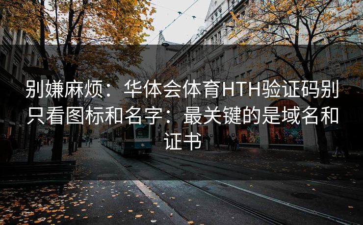 别嫌麻烦：华体会体育HTH验证码别只看图标和名字：最关键的是域名和证书